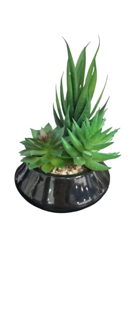 MINI MACETAS CERAMICA C/3 SUCULENTAS.